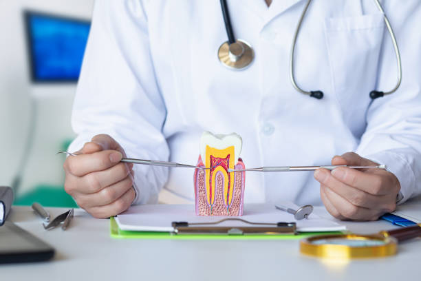Best Emergency Treatment for Toothache in Fairbanks, AK